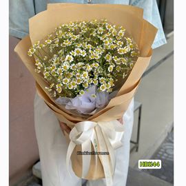 Picture of Bó hoa chúc mừng cúc tana - HB1144