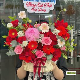 Picture of Giỏ hoa chúc mừng tone đỏ hồng mix cúc mẫu đơn hồng - HG1065