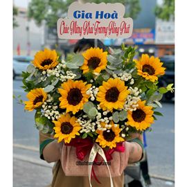 Picture of GIỎ HOA HƯỚNG DƯƠNG - HG672