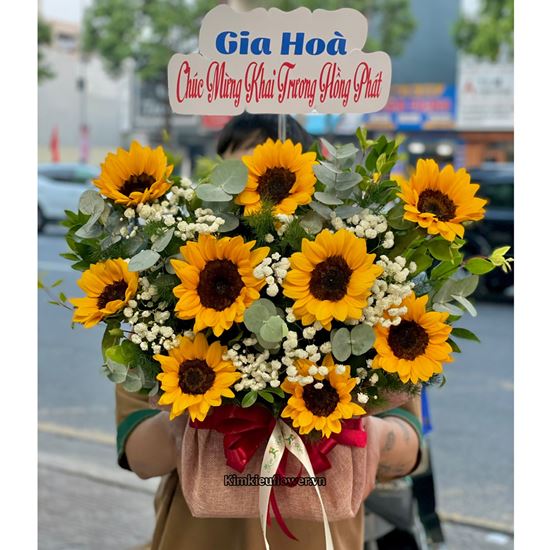Picture of GIỎ HOA HƯỚNG DƯƠNG - HG672