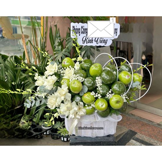 Picture of Giỏ hoa trái cây viếng - HTC49