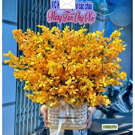 Picture of Giỏ hoa lan mokara vàng - HG1070