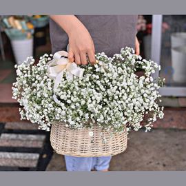 giỏ hoa baby trắng - HG287
