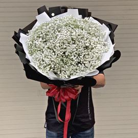 Bó hoa baby trắng - HB271