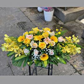 Đĩa hoa hồng kem, lan vàng - ĐH02