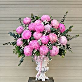 bình cúc mẫu đơn hồng - BI164