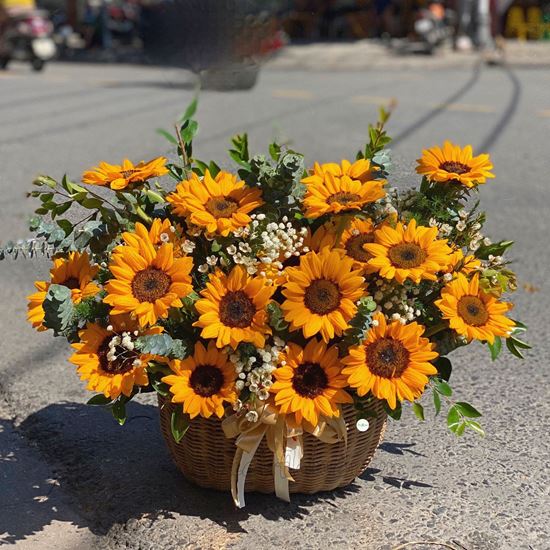 giỏ hoa hướng dương - HG301