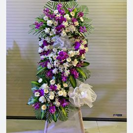 Kệ hoa hồng trắng, lan hồ điệp tím - KV99