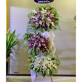 Kệ lan tím, lan trắng - KV100