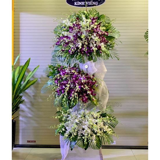 Kệ lan tím, lan trắng - KV100