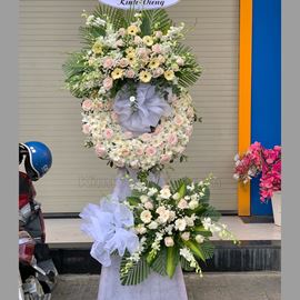 Vòng hoa viếng hồng kem, đồng tiền - KV109