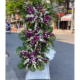 Kệ hoa lan tím - KV112