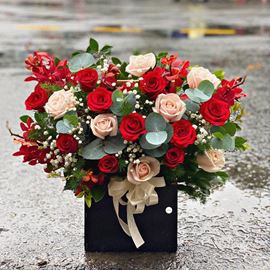 giỏ hoa lan, hồng đỏ - HG276