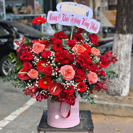 giỏ hoa cam london, lan đỏ - HG318