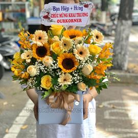 Hoa giỏ hướng dương, mỡ gà -HG46