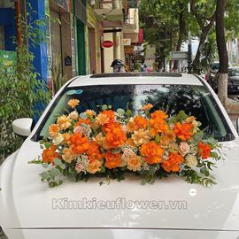 Xe cưới hồng cam quốc vương, hồng cam mỡ gà - HC55