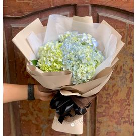 Bó hoa cẩm tú cầu - HB352