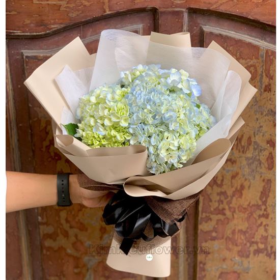 Bó hoa cẩm tú cầu - HB352