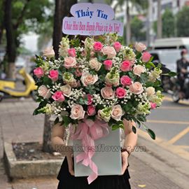 giỏ hoa hồng, mõm sói - HG376