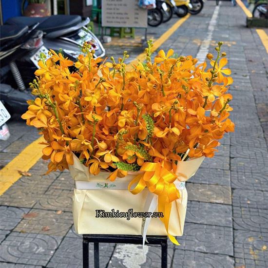Picture of Giỏ hoa chúc mừng lan mokara vàng - HQ59
