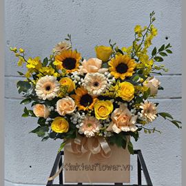 Giỏ hoa hoa hướng dương, lan vũ nữ - HG390
