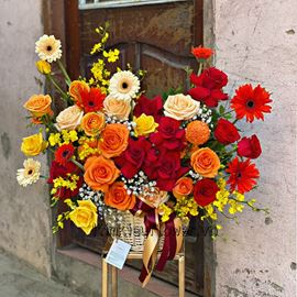 Giỏ hoa hồng, lan vũ nữ - HG394