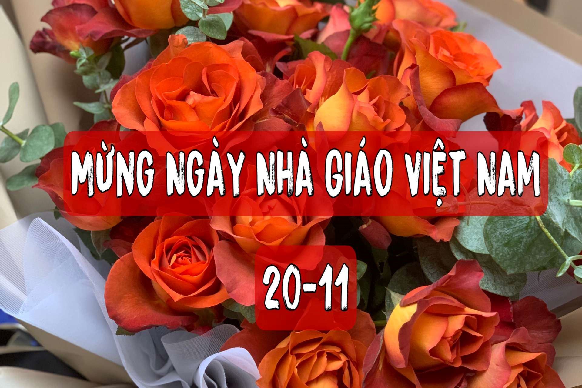 Những mẫu hoa 20-11 ý nghĩa tặng thầy cô giáo
