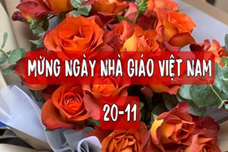 Những mẫu hoa 20-11 ý nghĩa tặng thầy cô giáo