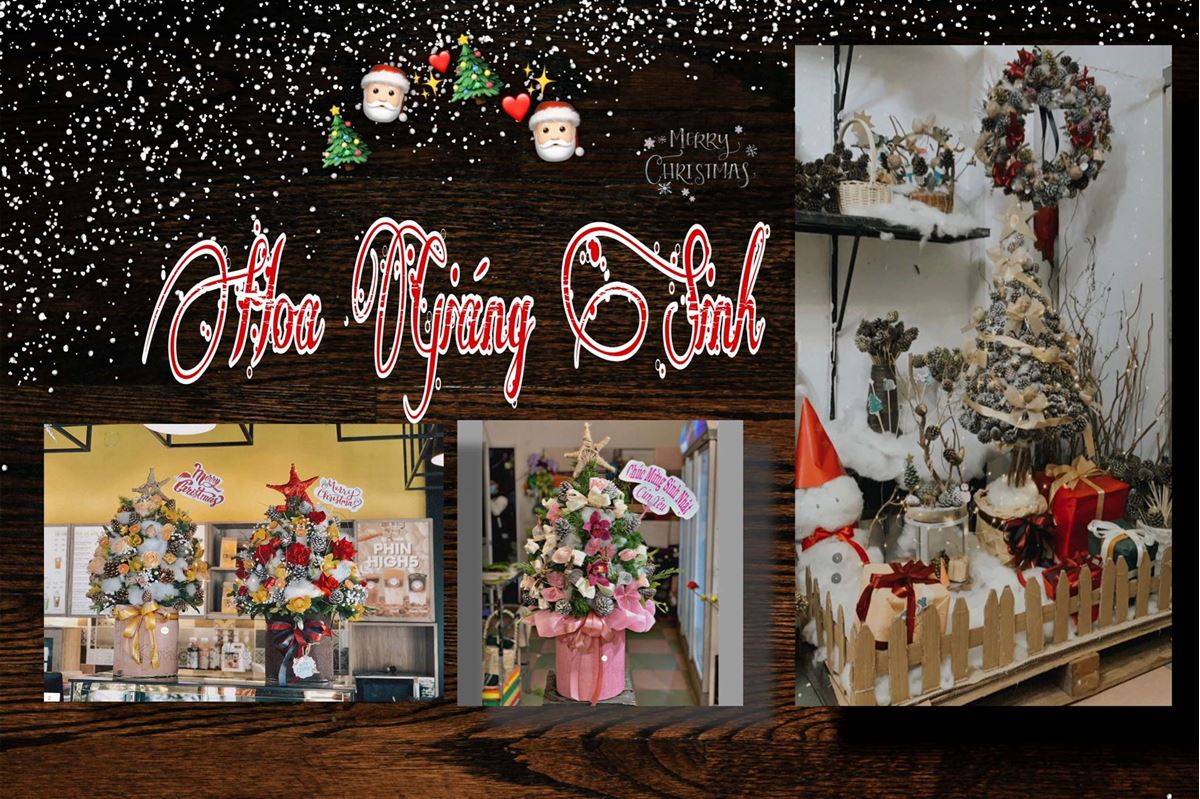 Các mẫu thiết kế hoa mừng Giáng Sinh đẹp ?