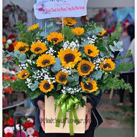 Giỏ hoa hướng dương - HG506