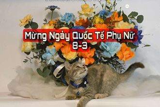 Tổng hợp 38 mẫu hoa 8-3 đẹp nhất năm 2024