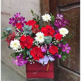 Giỏ hoa lan tím hồng đỏ - HG526