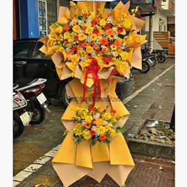 Kệ hoa hồng vàng, lan vũ nữ - KH149