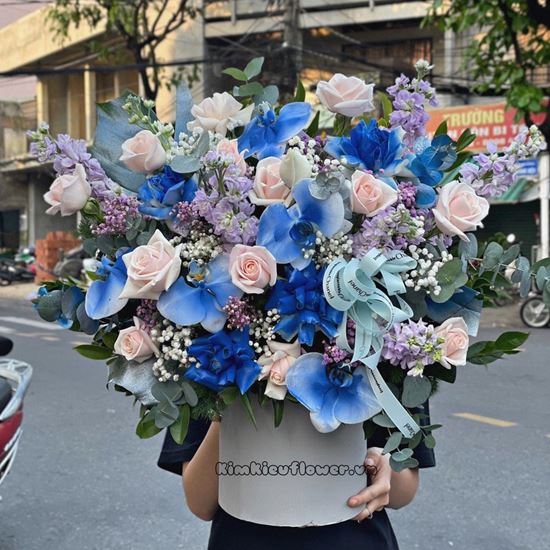 Hộp hoa phi yến, hồng kem - HG533