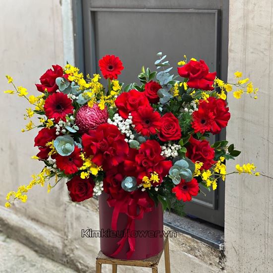 Hộp hoa lan vũ nữ, hó hồng đỏ - HG534