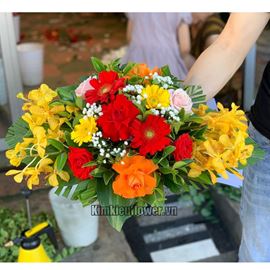 Đĩa hoa lan vàng, đồng tiền - ĐH10