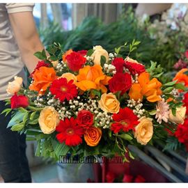 Đĩa hoa hồng, đồng tiền- ĐH11