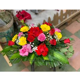 Đĩa hoa chúc mừng tone rực rỡ - ĐH15