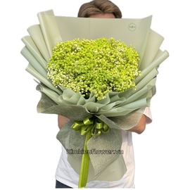 Bó hoa baby xanh lá - HB426