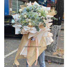 Bó hoa cẩm tú cầu, pingpong - HB430