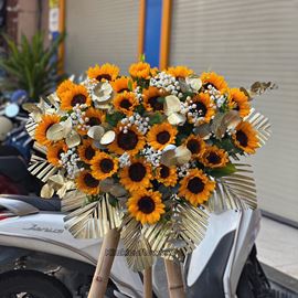 Đĩa hoa hướng dương - ĐH19