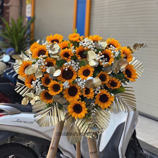 Đĩa hoa hướng dương - ĐH19