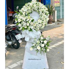 Vòng hoa viếng đồng tiền, lan trắng - KV149