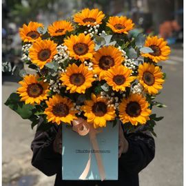 giỏ hoa hướng dương - HG580