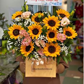 giỏ hoa hướng dương, cát tường - HG582