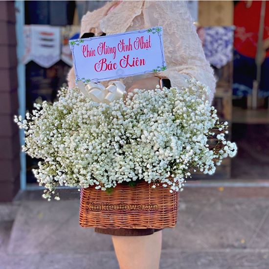 giỏ hoa baby trắng - HG590