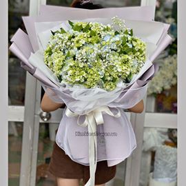 Bó hoa cẩm tú cầu - HB478