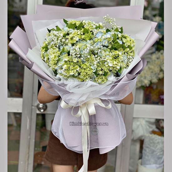 Bó hoa cẩm tú cầu - HB478