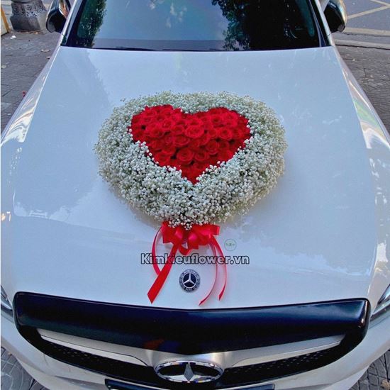 Xe cưới hoa baby, hồng đỏ - HC30