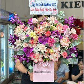 giỏ hoa chúc mừng tone tím hồng - HG603